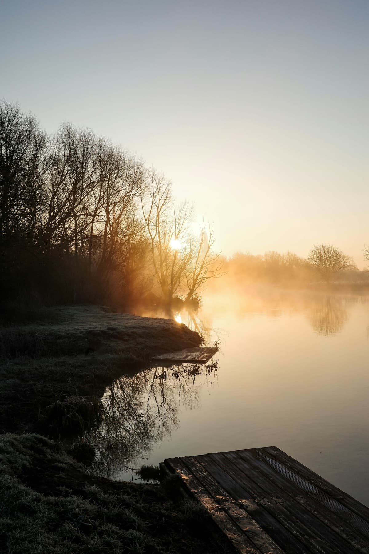 Misty lake at sunrise with bare trees along the shore